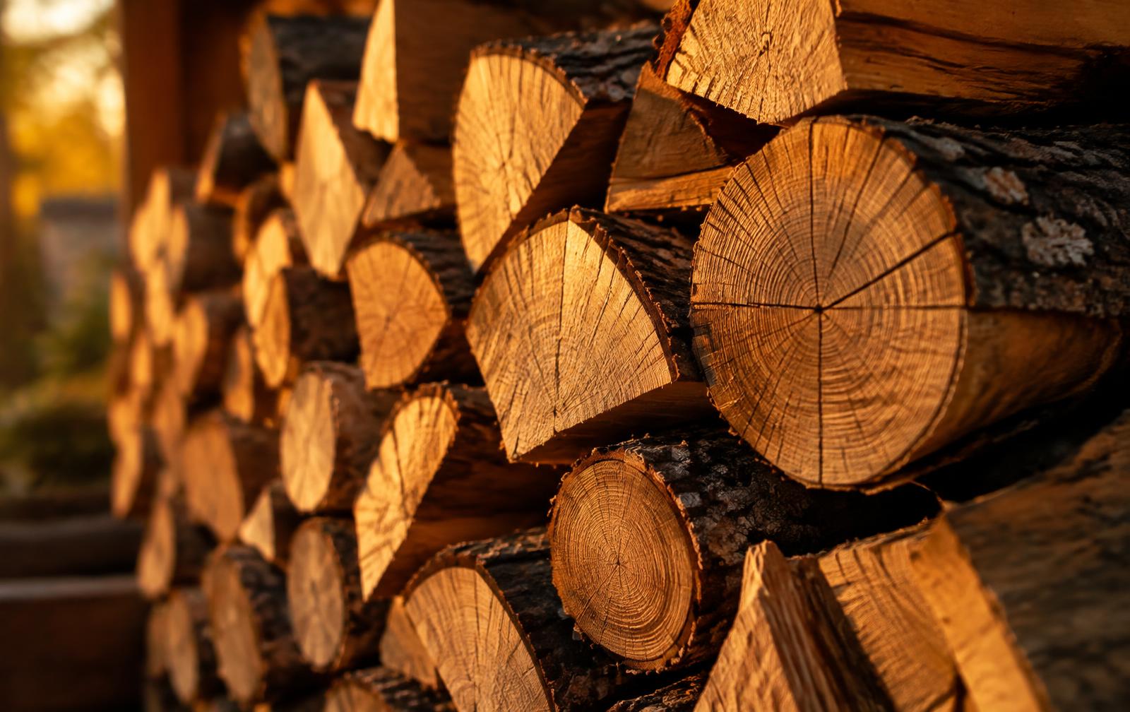 Stacked dry split firewood